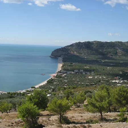 Campsite Mattinata Camping *